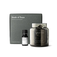 Scented Volcanic Rock Set - Study of Trees