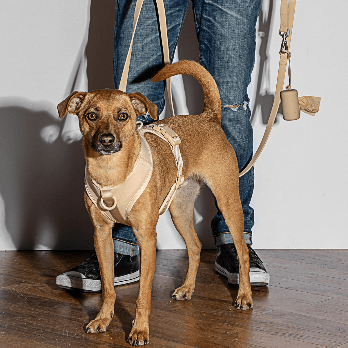 Dog Poop Bag Carrier - Tan - Humble & Grand Homestore