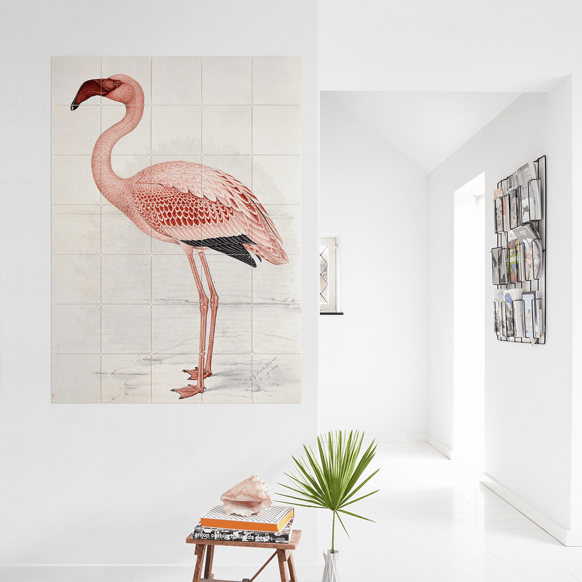 IXXI Flamingo (Finch-Davies) Wall Art - Humble & Grand Homestore